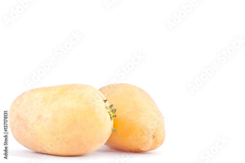  fresh organic potatoes tubers on white background healthy potato Vegetable food isolated  