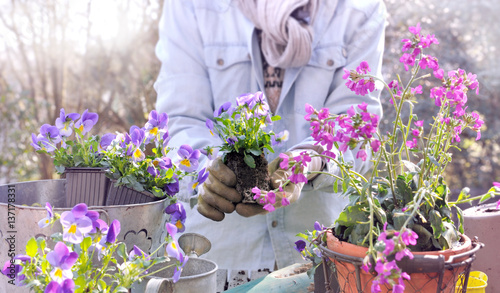 femme tenant des fleurs à planter