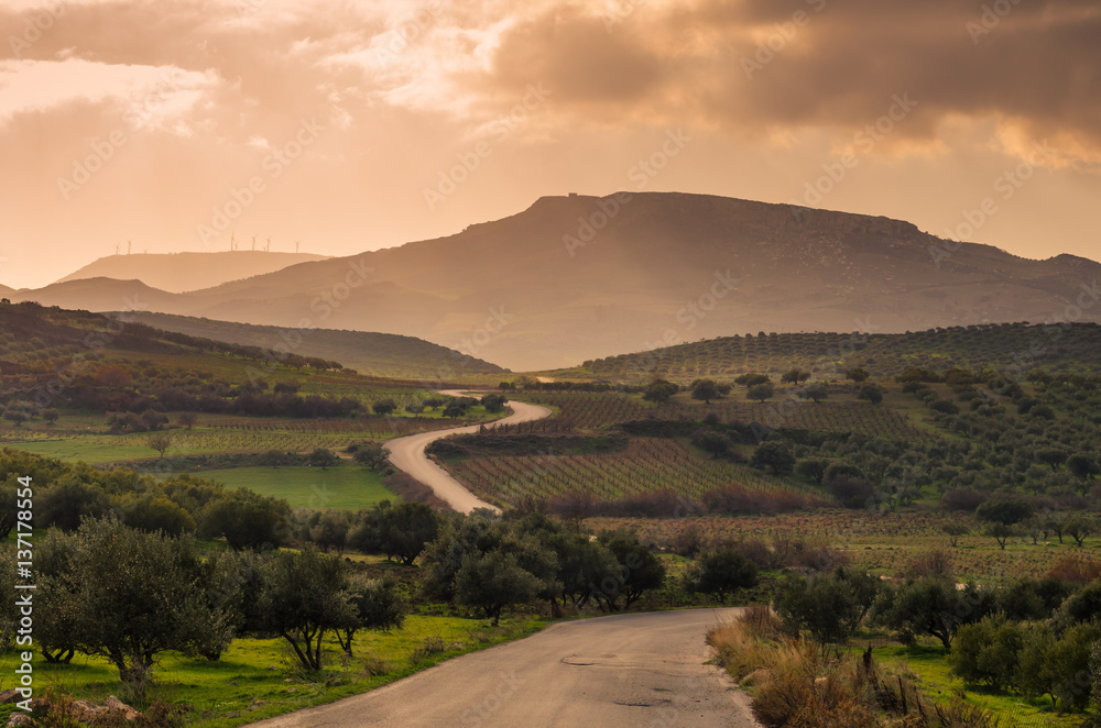 scenic view of cretan landscape at sunset.Typical for the region olive groves, olive fields, vineyard and narrow roads up to the hills.