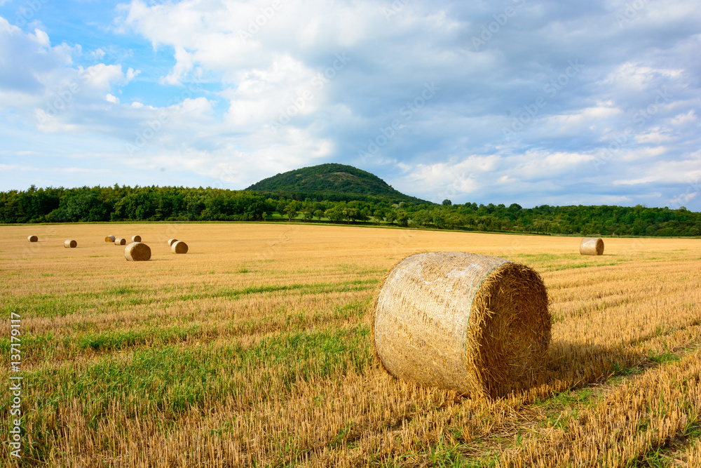 Straw bales in the meadow. Grain harvest in the country. Fertile fields under the mountain Rip.
