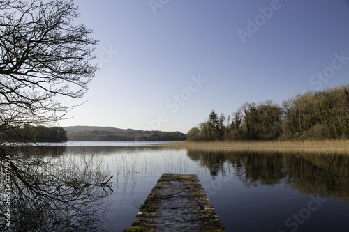 Lough Key Forest Park, Boyle, Roscommon, Ireland photo