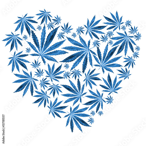 Heart of Bright Blue cannabis sativa leaves