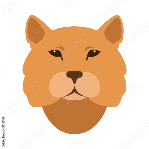 cougar head vector illustration style Flat