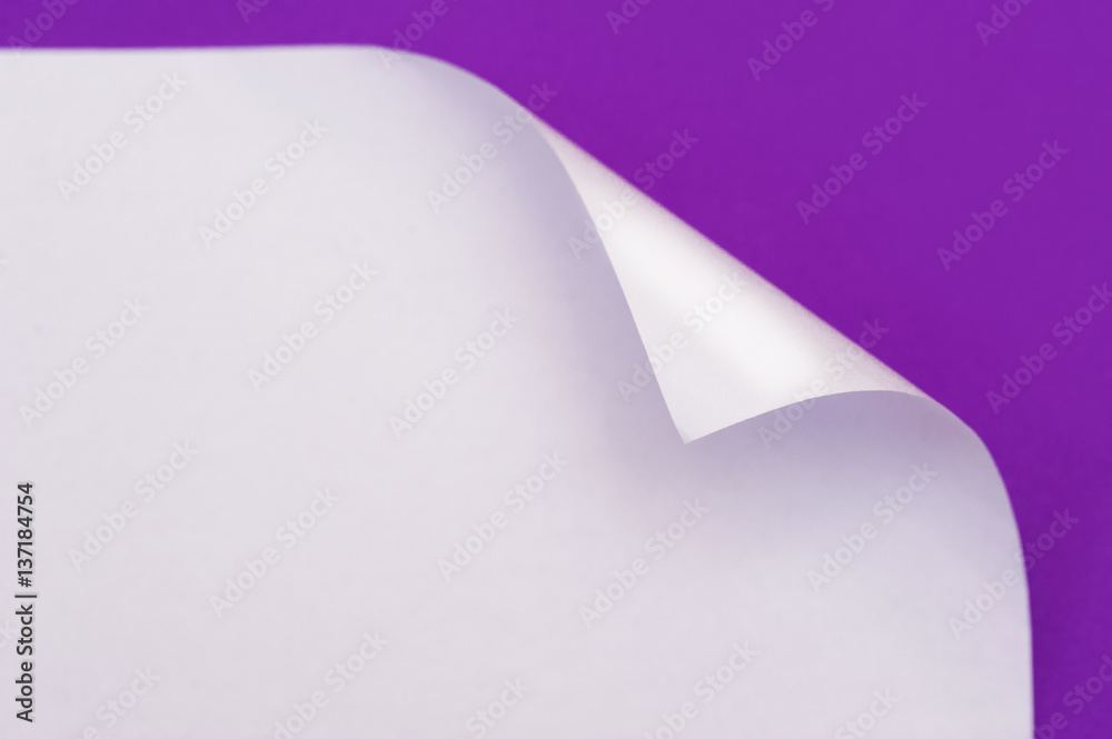 sheet of paper with the wrapped up corner on a purple background sheet of paper with the wrapped up corner on a purple background