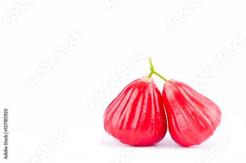 red rose apple or water apples on white background healthy rose apple fruit food isolated 