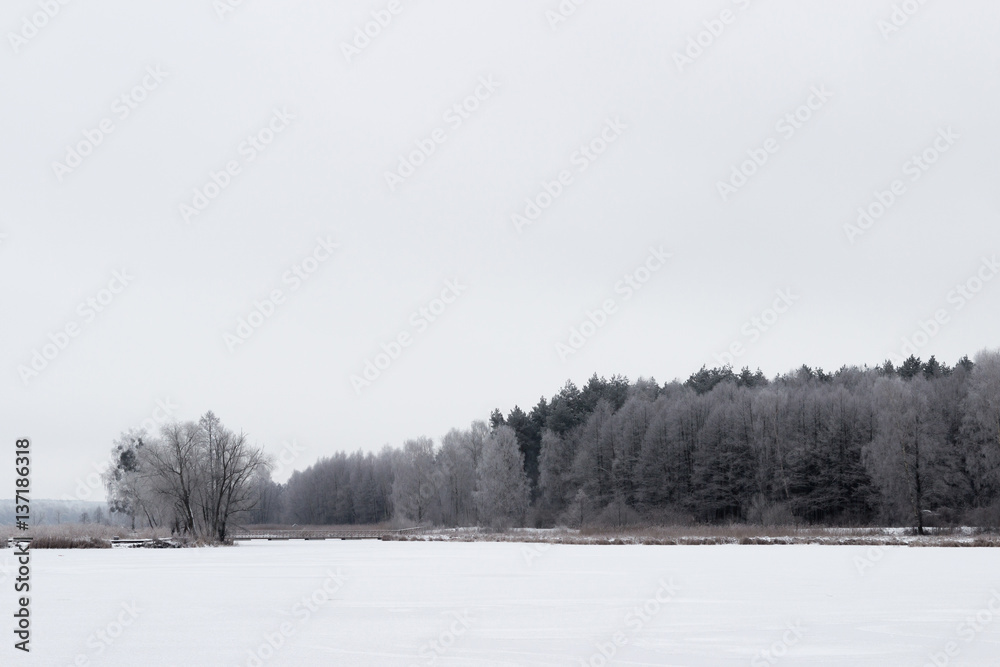 White winter landscape frozen lake in the forest White winter landscape frozen lake in the forest