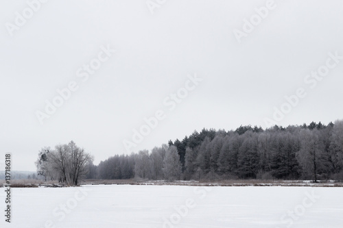 White winter landscape frozen lake in the forest