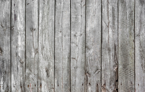 Texture old gray wood tree board © romankrykh
