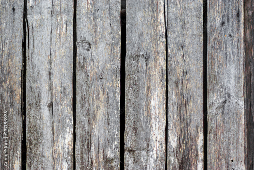 Texture old gray wood tree board Texture old gray wood tree board