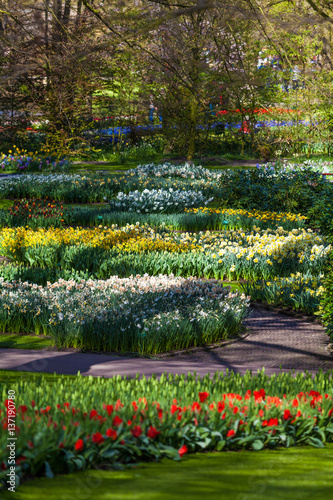 Dutch spring garden Keukenhof (Lisse, Netherlands) park of flowers and tulips