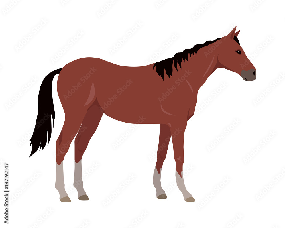 Sorrel Horse Vector Illustration in Flat Design