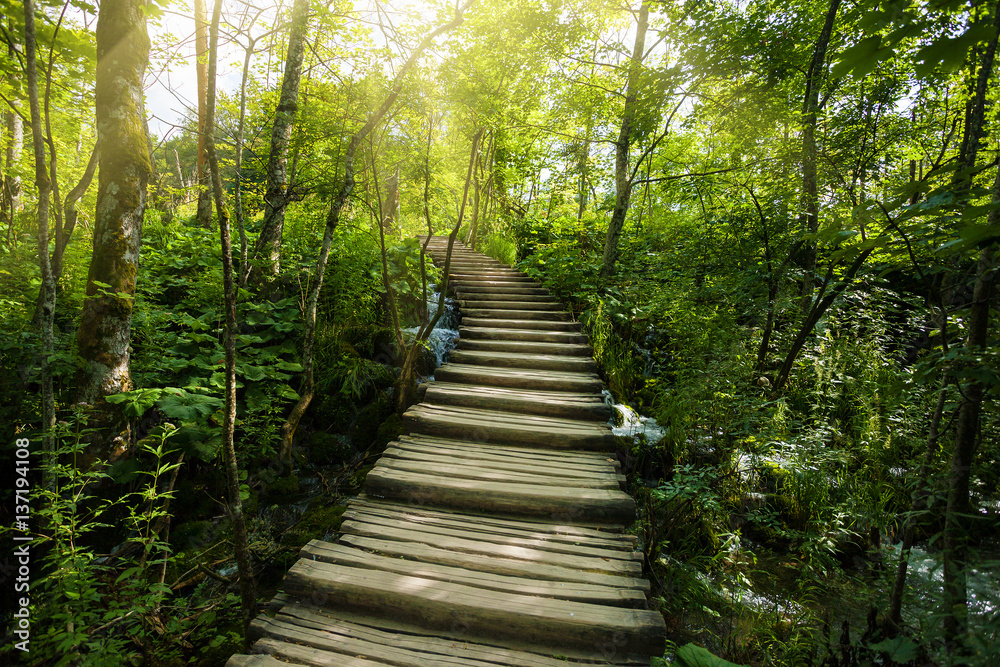 Wooden Walkway in Plitvice Lake National Park, Croatia Wooden Walkway in Plitvice Lake National Park, Croatia