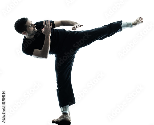 one caucasian man krav maga fighters fighting isolated silhouette on white background