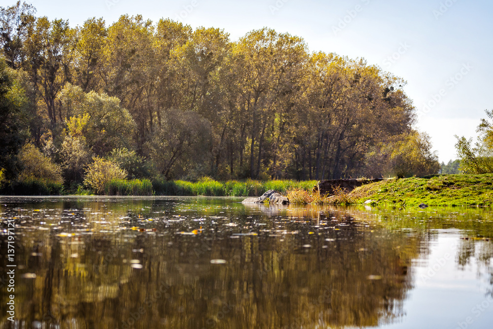 Fototapeta premium Colorful autumn landscape.Nature background.gorgeous forest in autumn,scenic landscape with pleasant warm sunshine.autumn leaves.lots of gold leaves and blue sky.Autumn Leaves green,yellow,orange,red