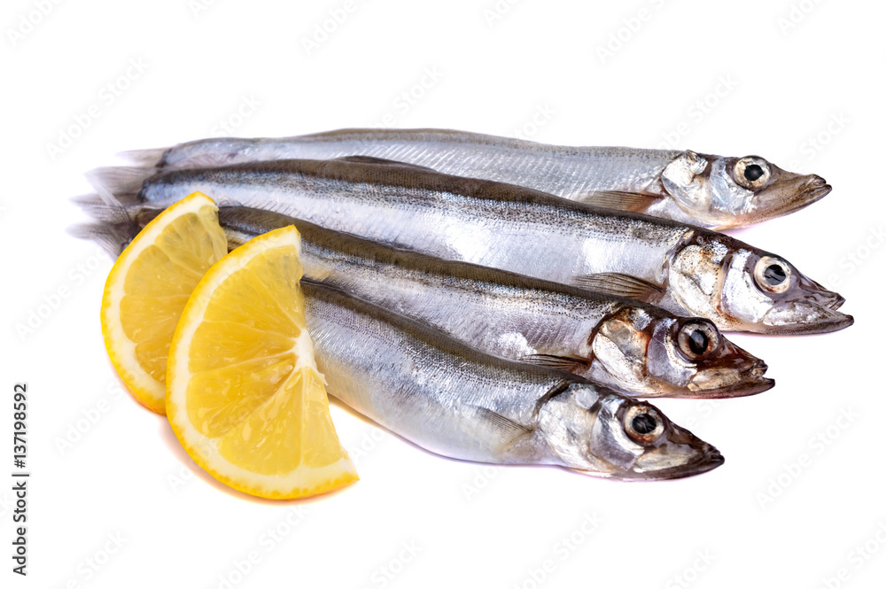 Raw fish capelin with lemon slices isolated on white background.
