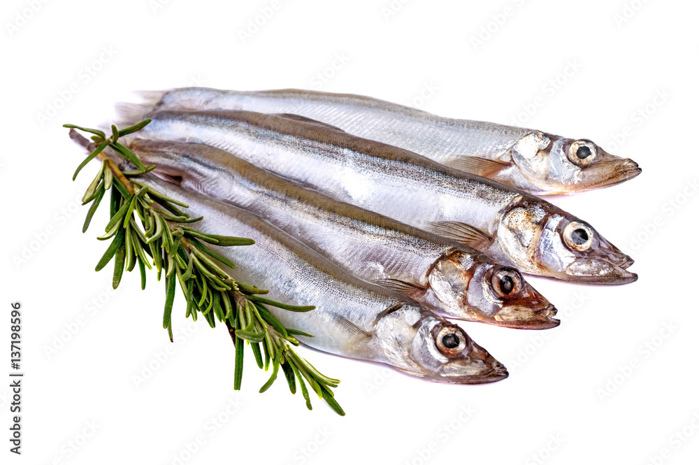 Raw fish capelin and a branch of rosemary isolated on white background. Raw fish capelin and a branch of rosemary isolated on white background.