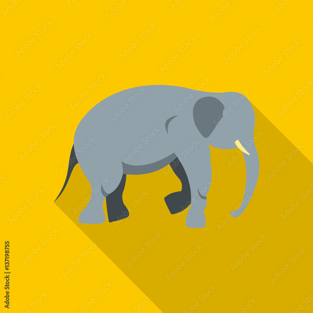 Obraz premium Elephant icon, flat style