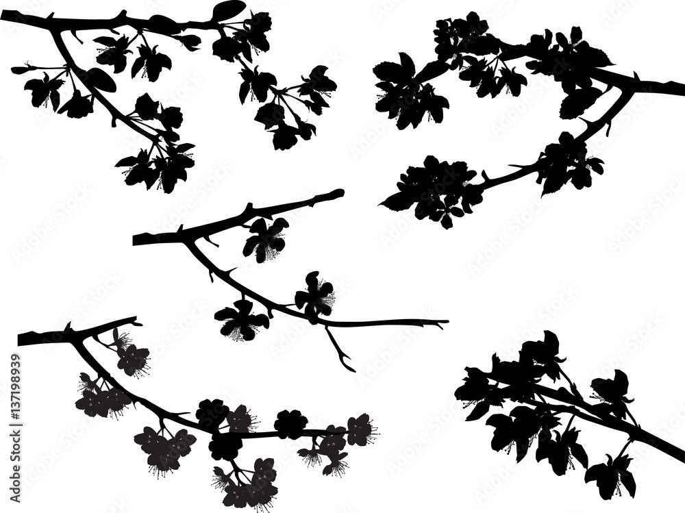 Naklejka premium five spring tree blossom branches collection