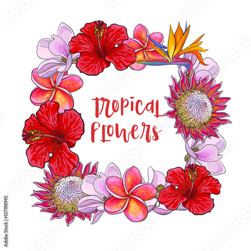 Square frame of tropical flowers with place for text, sketch vector illustrat...