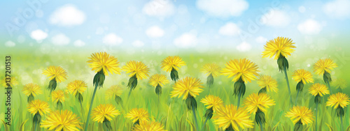 Vector spring nature background, blossoming flowers field and blue sky.