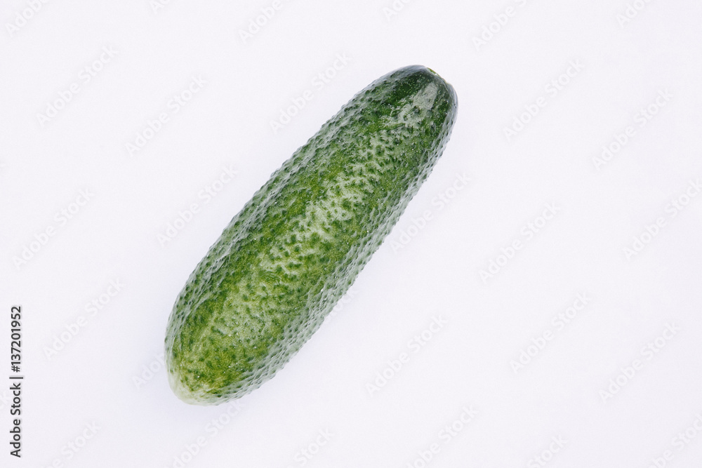 cucumber on a white background cucumber on a white background