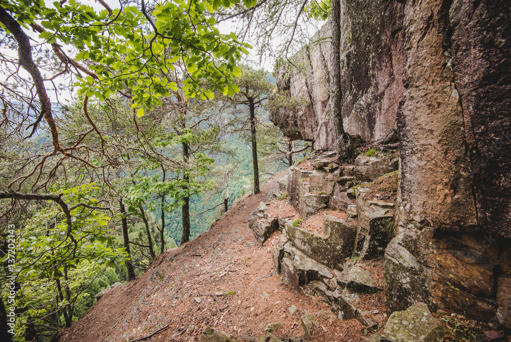 rocks into the forest in a rainy day Alps Italy - outdoor activity into the wild rocks into the forest in a rainy day Alps Italy - outdoor activity into the wild