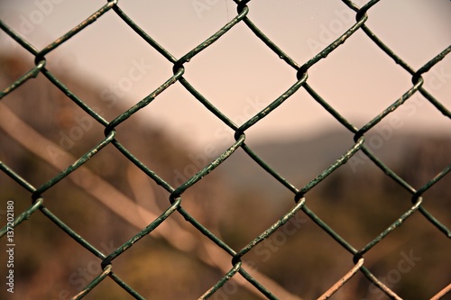 Wire mesh background blur