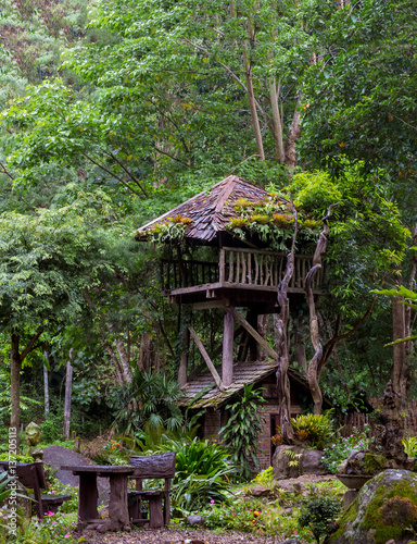 Tree wooden house in the jungle © suthiwan