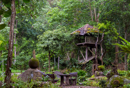 Tree wooden house in the jungle