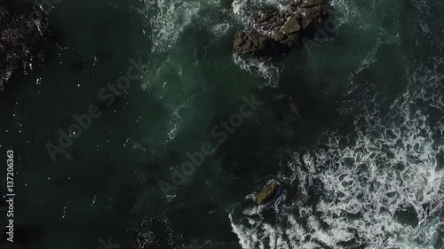 Aerial of elephant seals, at elephant seals vista point, on higway 1, in San simeon, California, United states of america