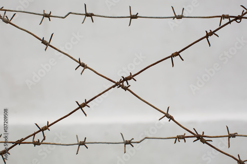 Tangle barb wire