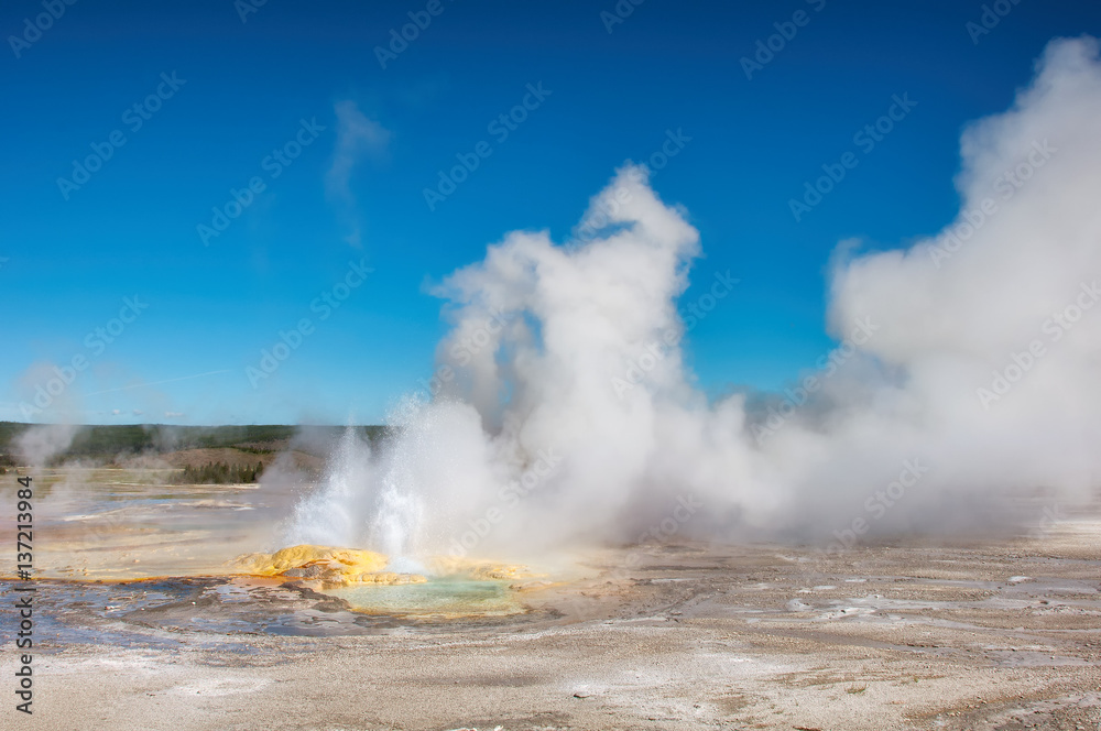 Geyser in Yellowstone National Park, Wyoming USA. Geyser in Yellowstone National Park, Wyoming USA.