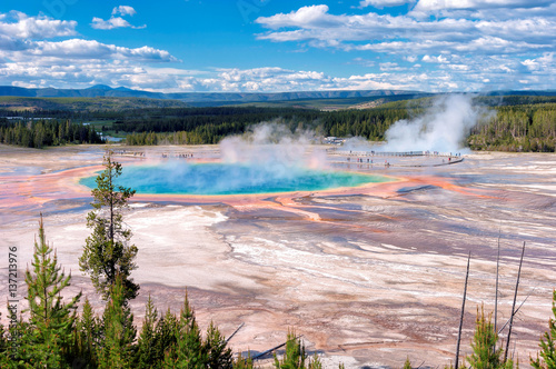Majestic Grand Prismatic Spring  in Yellowstone National Park.