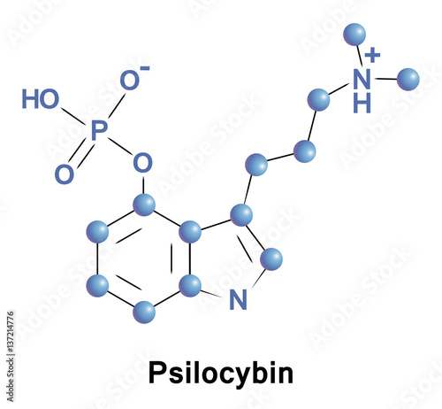 Psilocybin is a naturally occurring psychedelic compound produced by more than 200 species of mushrooms, collectively known as psilocybin mushrooms.