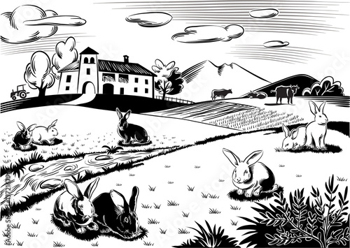 Rabbits in a meadow near a stream.