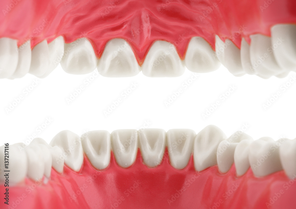 Naklejka premium white teeth, view from mouth, isolated with path
