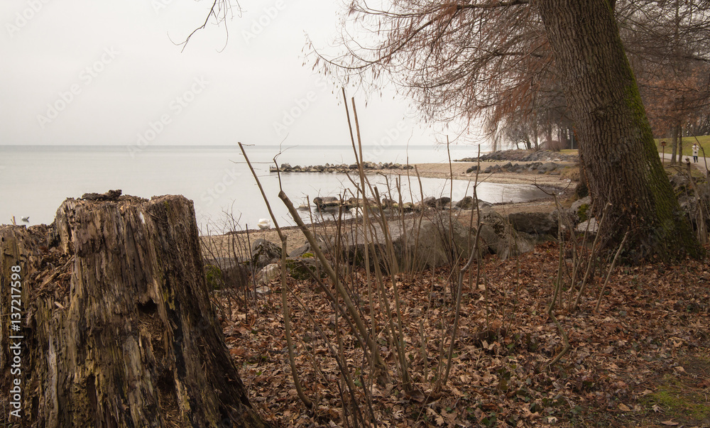 Waterfront at the Geneva (Leman) Lake in Lausanne