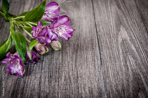 flowers on wooden background. Free space for text  closeup
