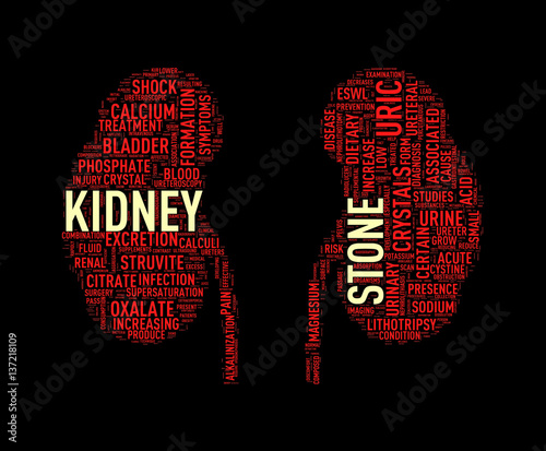 Kidney shape wordcloud wordtag stone photo