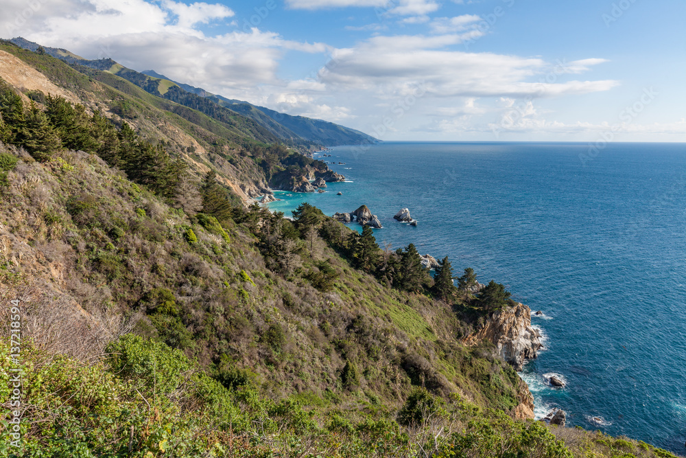 Scenic California Coast Landscape near Big Sur