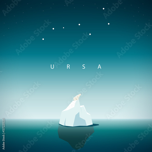 Polar bear sits on the iceberg and looks at the constellation URSA major
