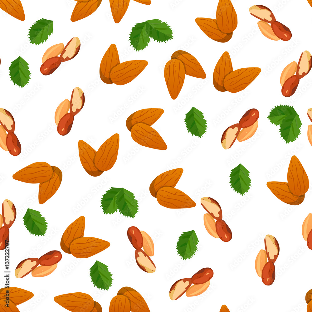 illustration of nuts illustration of nuts