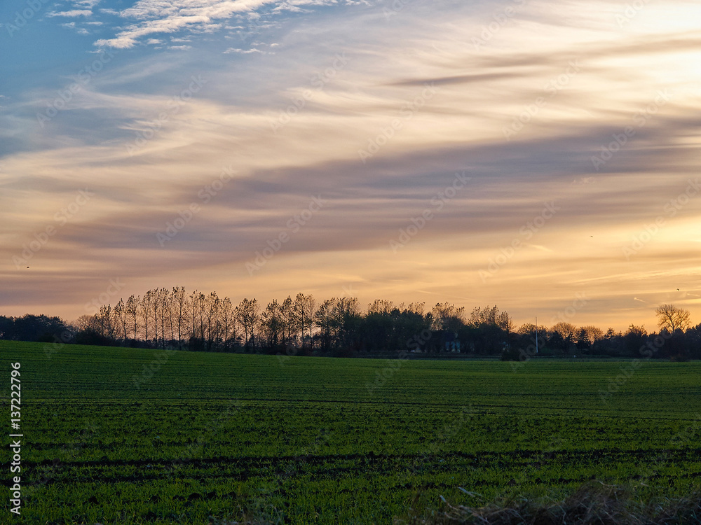 Landscape of green fields and a dramatic sunset