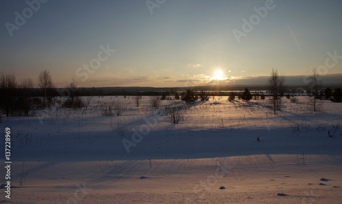 winter dawn in the field