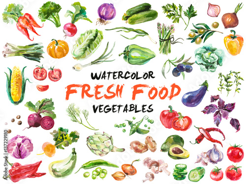 Fotografie, Obraz Watercolor vegetables isolated on white