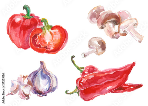 Watercolor vegetables isolated on white