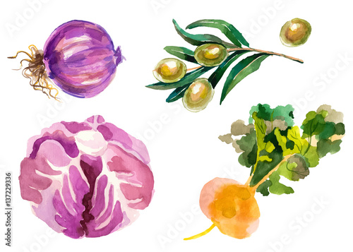 Watercolor vegetables isolated on white