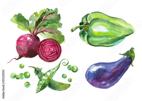 Fototapeta Naklejka Na Ścianę i Meble -  Watercolor vegetables isolated on white