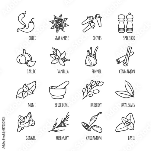 Spices and seasonings outline web icons