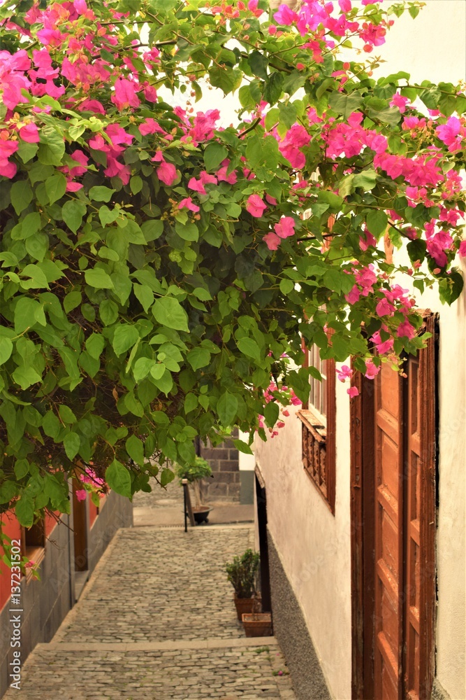 Por las calles de Garachico